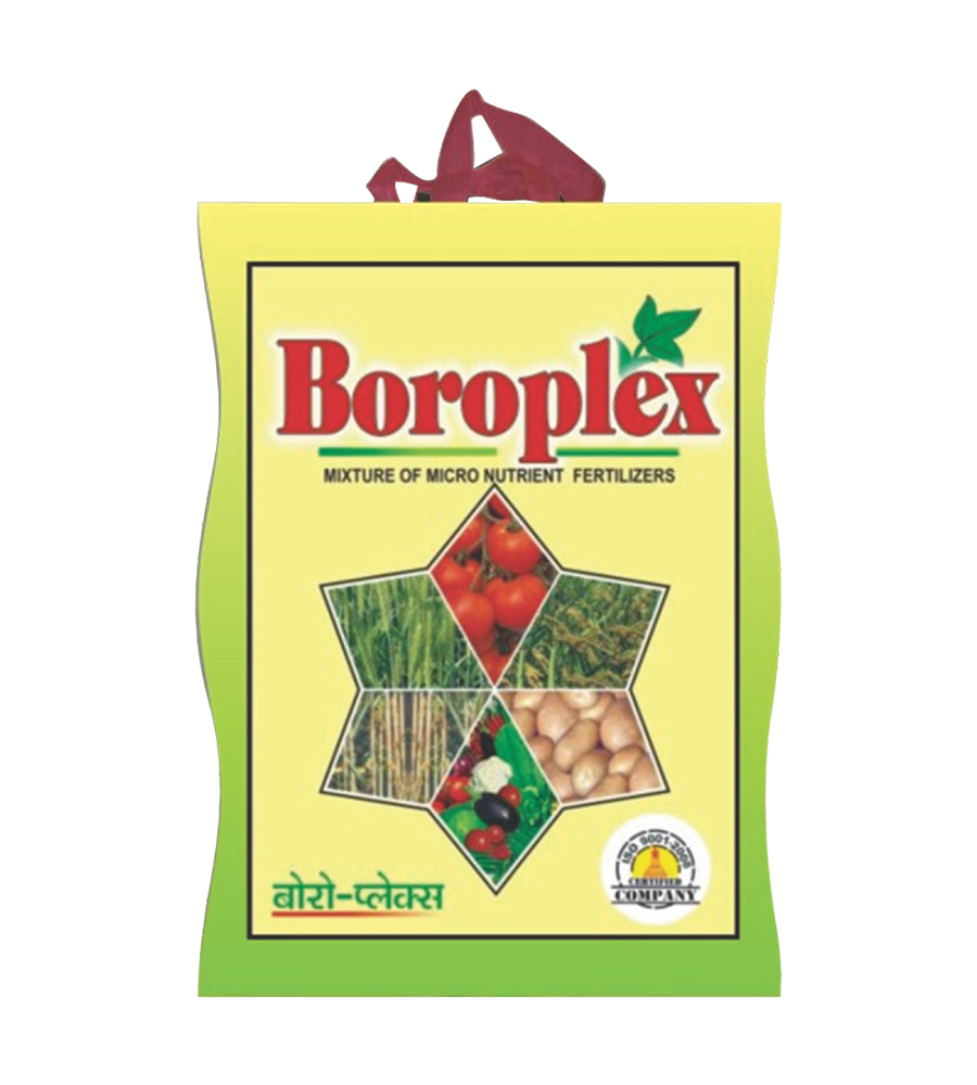 boroplex.png