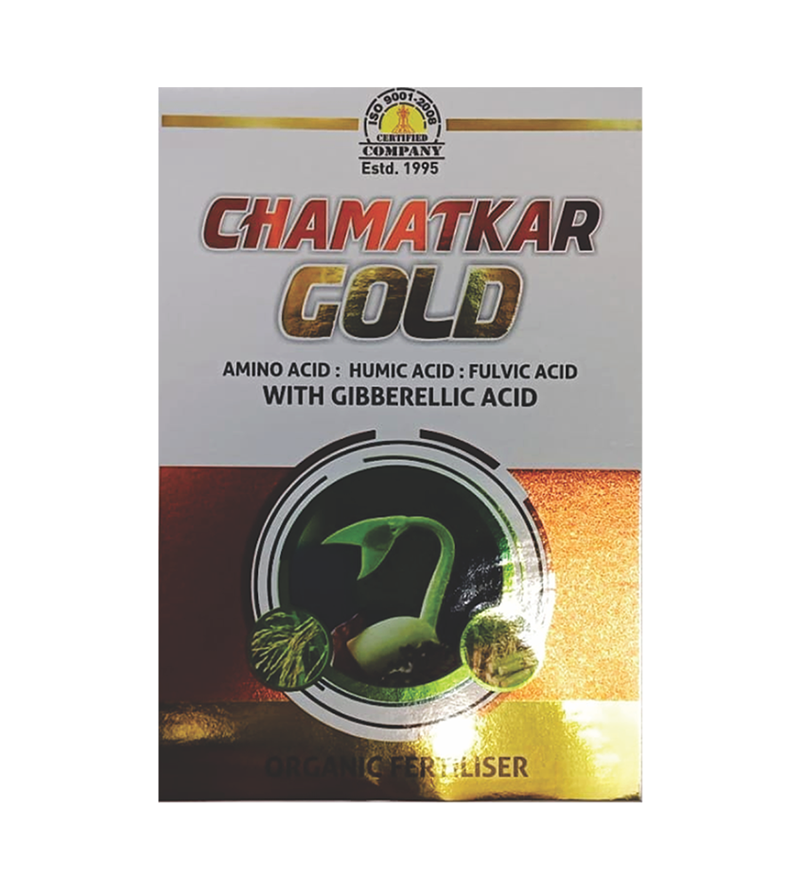 chamatkar-gold