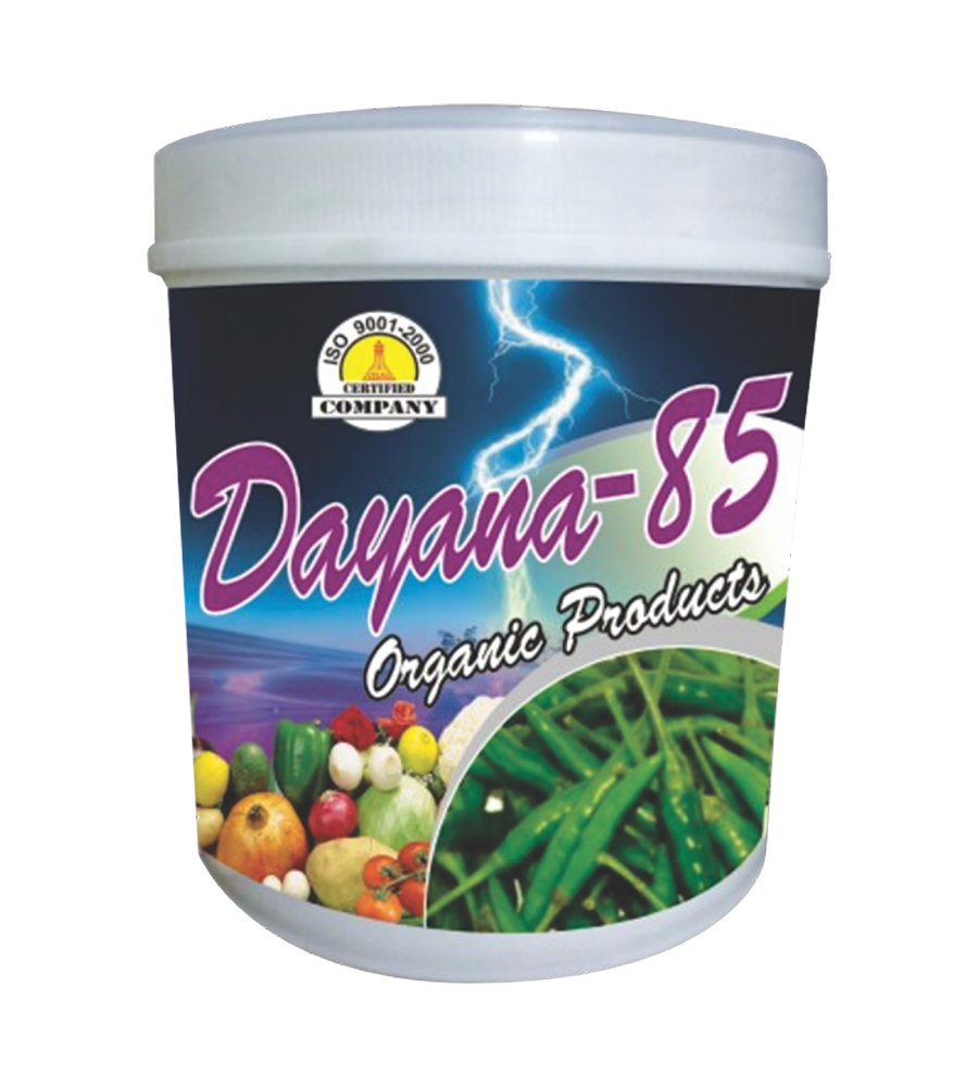 dayana-85