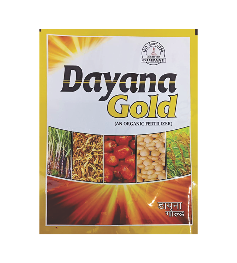 dayana-gold
