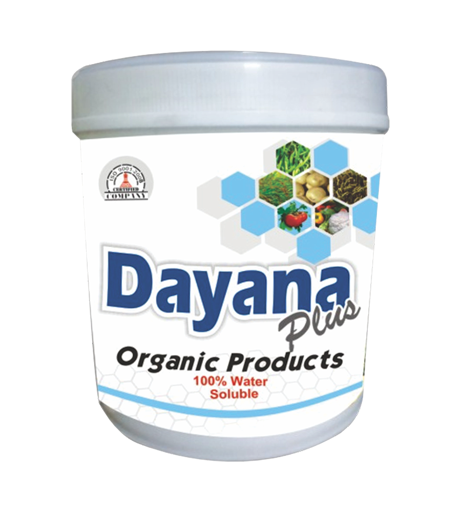 dayana-plus