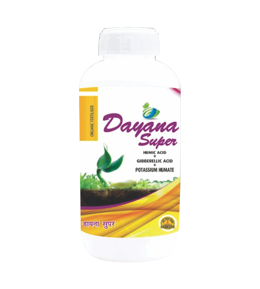 dayana-super