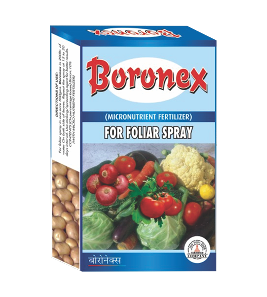 boronex