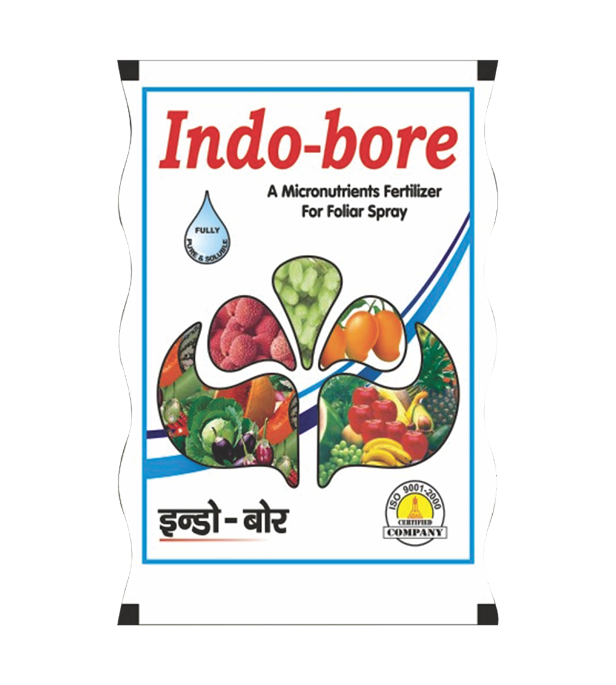 indo-bore