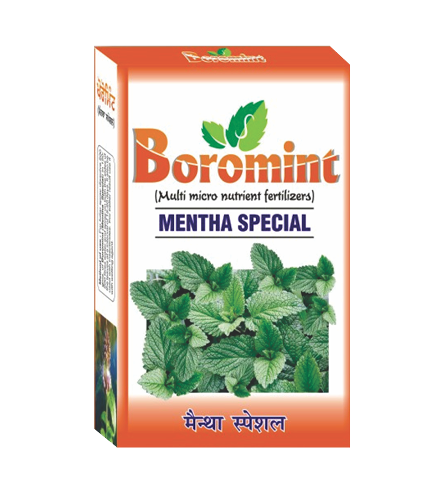 boro-mintmentha-special